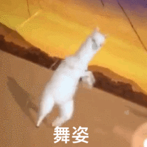 表情包