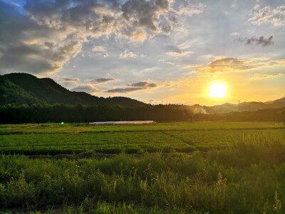 杭州市萧山区万松岭画室