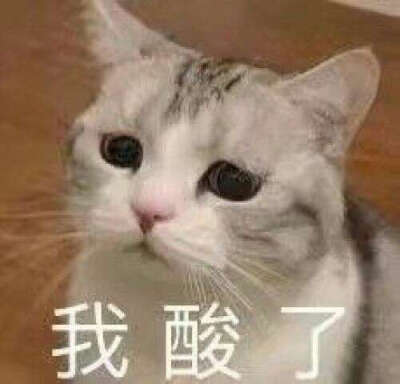 猫猫头