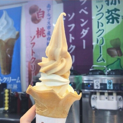 dt小熊不要偷吃