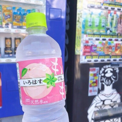 dt小熊不要偷吃