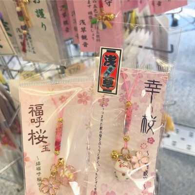 dt小熊不要偷吃