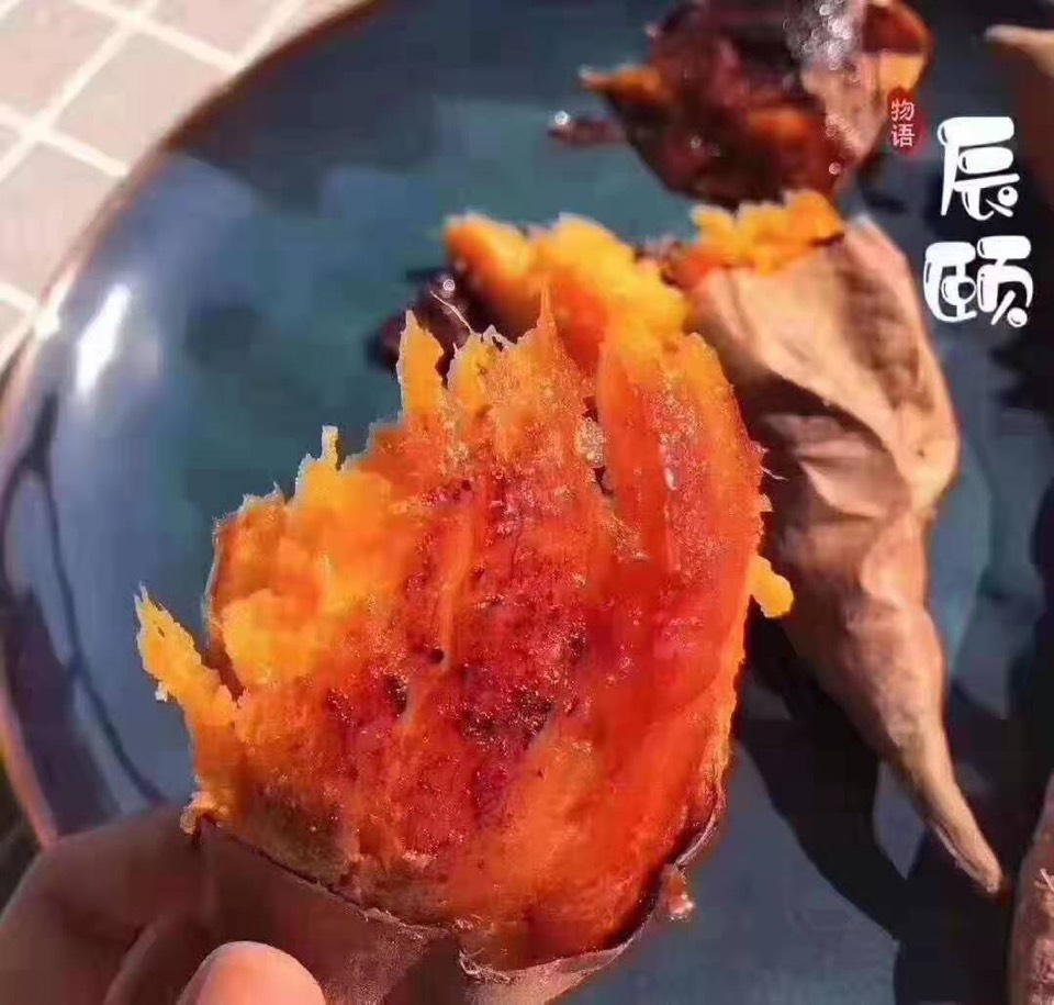 ​疯狂地​爱上了这​个​餐，​晚​一餐，六​鳌蜜薯新​鲜现​挖
好吃不贵，​代餐又能减​肥！
春​季​多食粗粮​身体​棒，
家​有小宝宝​的备起​来！
