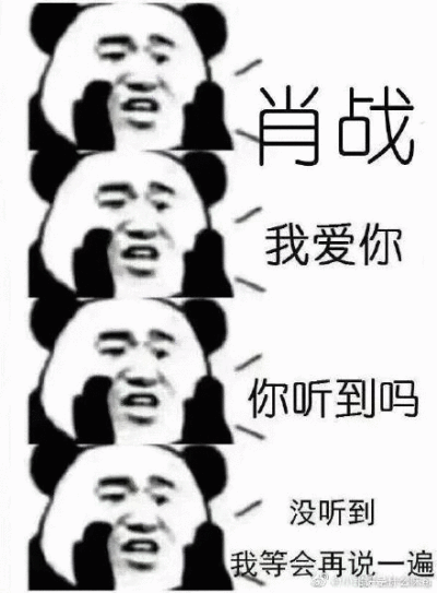 肖战表情包