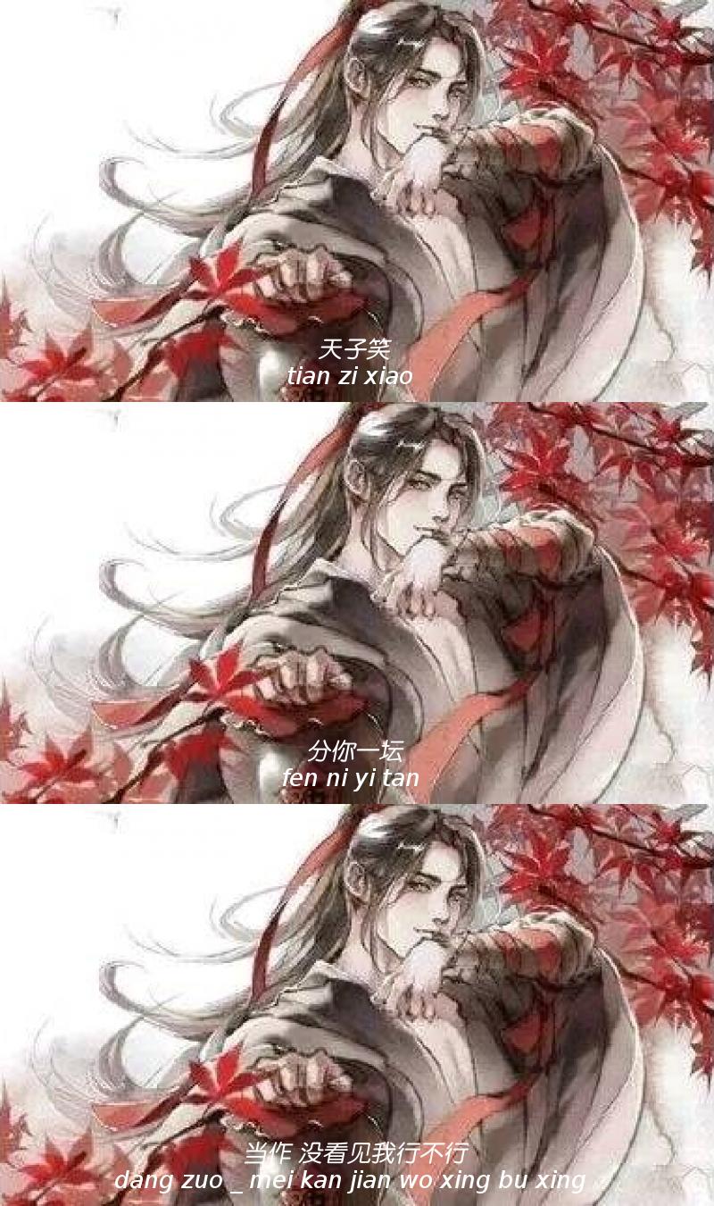 苏旬 魔道祖师