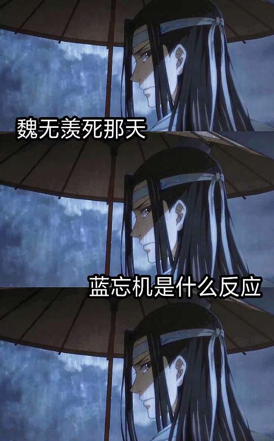 苏旬 魔道祖师文字控