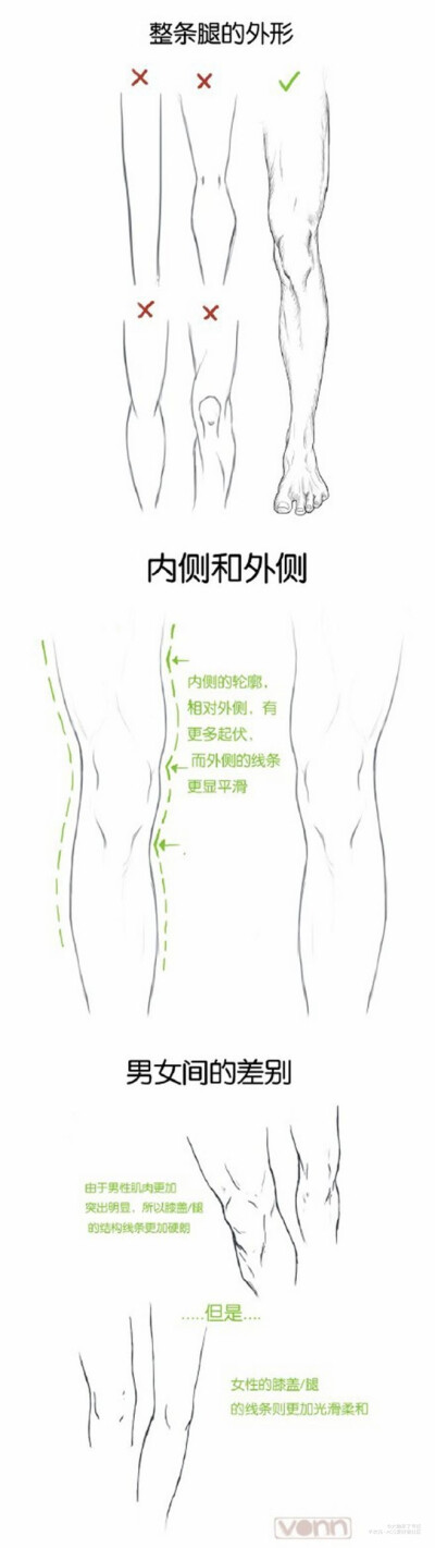 【人体素材】腿可不能再画成两根竹竿了~快来看看这组腿部绘画素材~讲解了腿部的关键转折点和曲线！