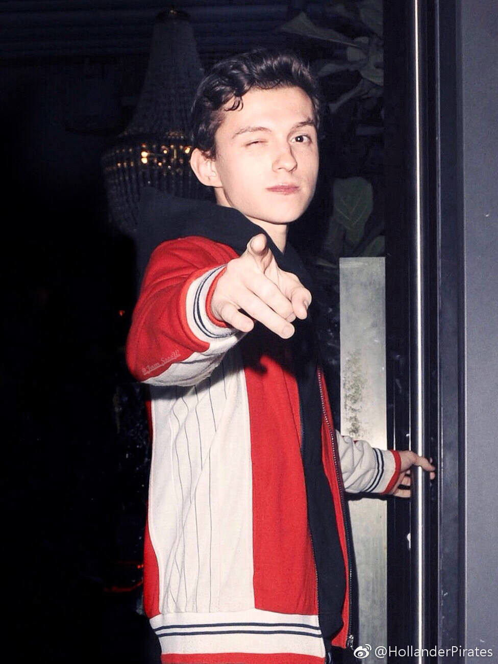 可可爱爱 荷兰弟