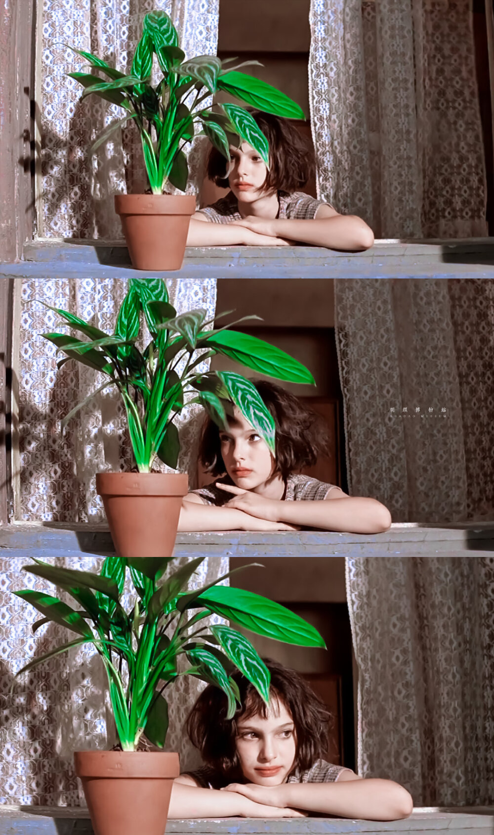 这个杀手不太冷