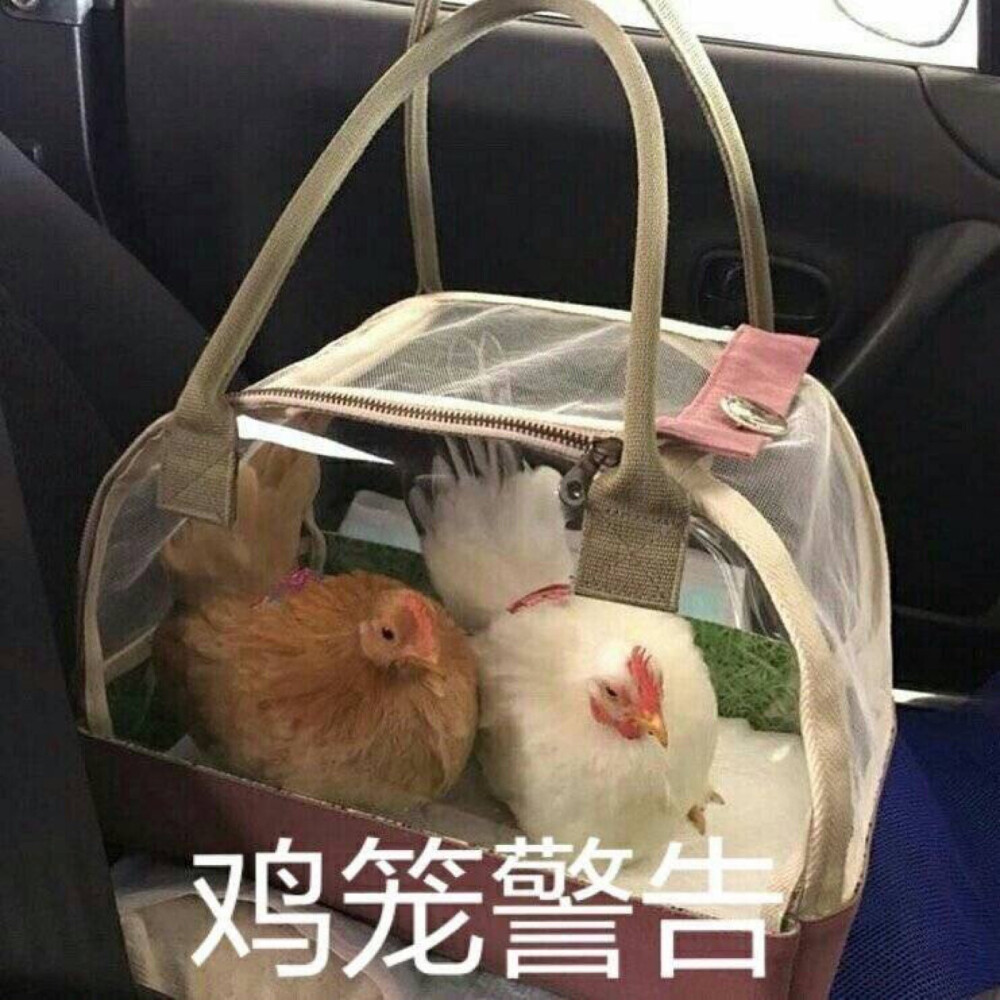 肥宅快乐图