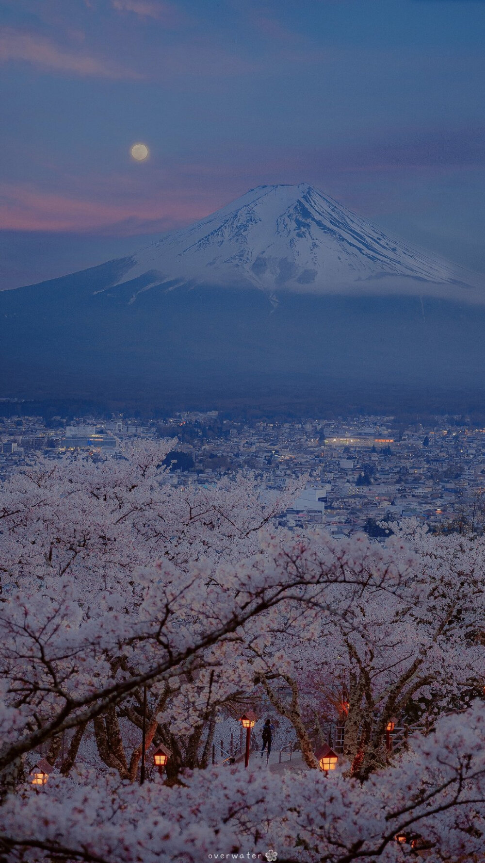 富士山