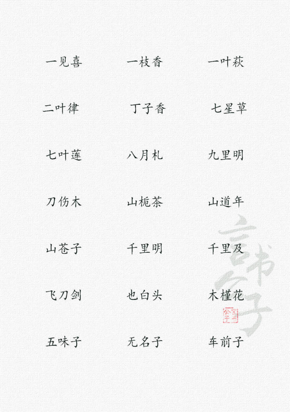 中药名字