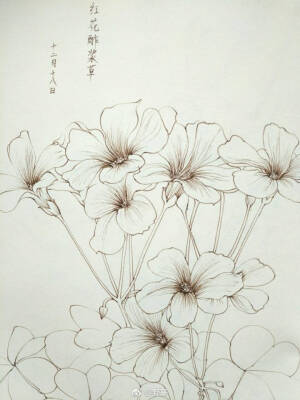 线描