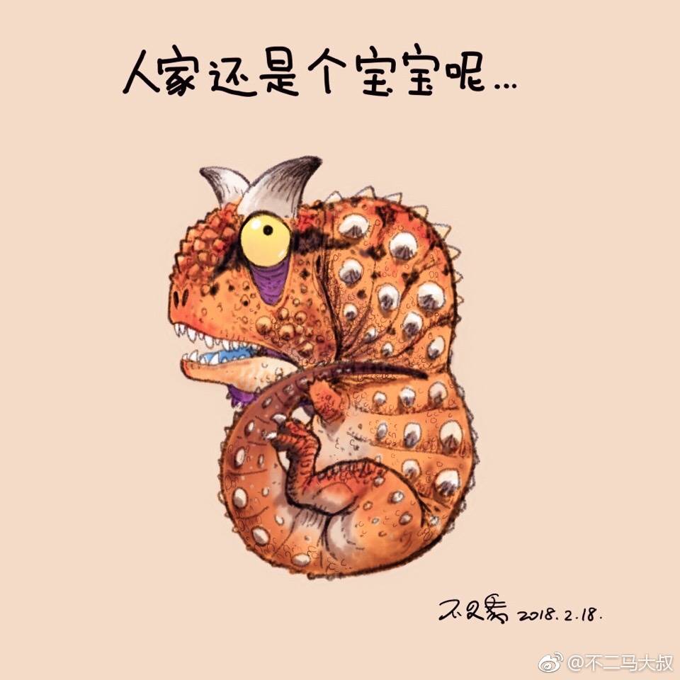 不二马大叔