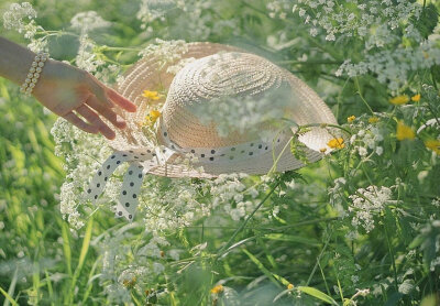 阳光，鲜花，草地，野外
20190829/2 ______✧*̣̩⋆̩☽⋆゜ ​​ ​​​