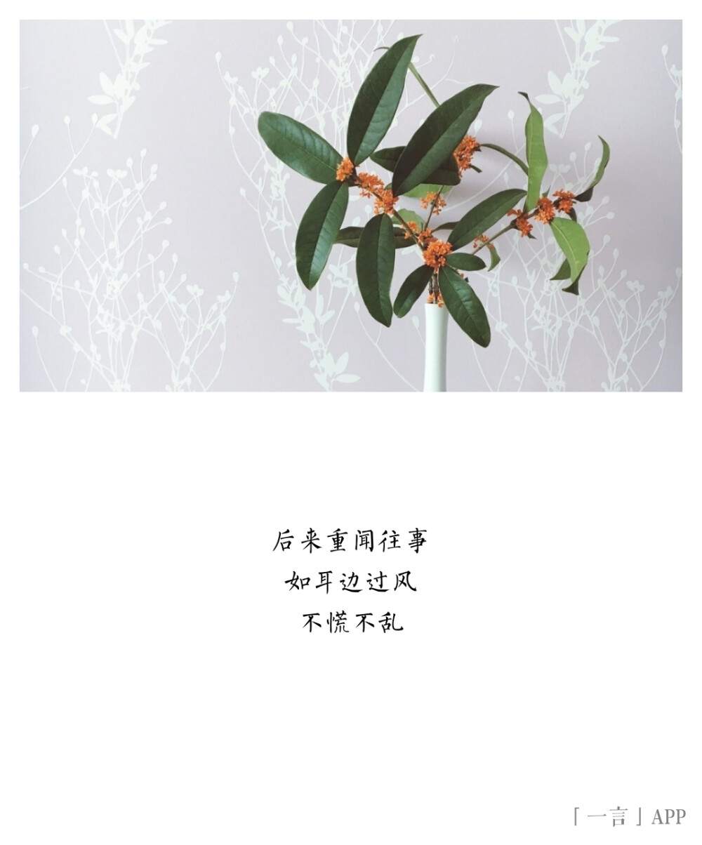 72 后来重闻往事 如耳边过风 不慌不乱