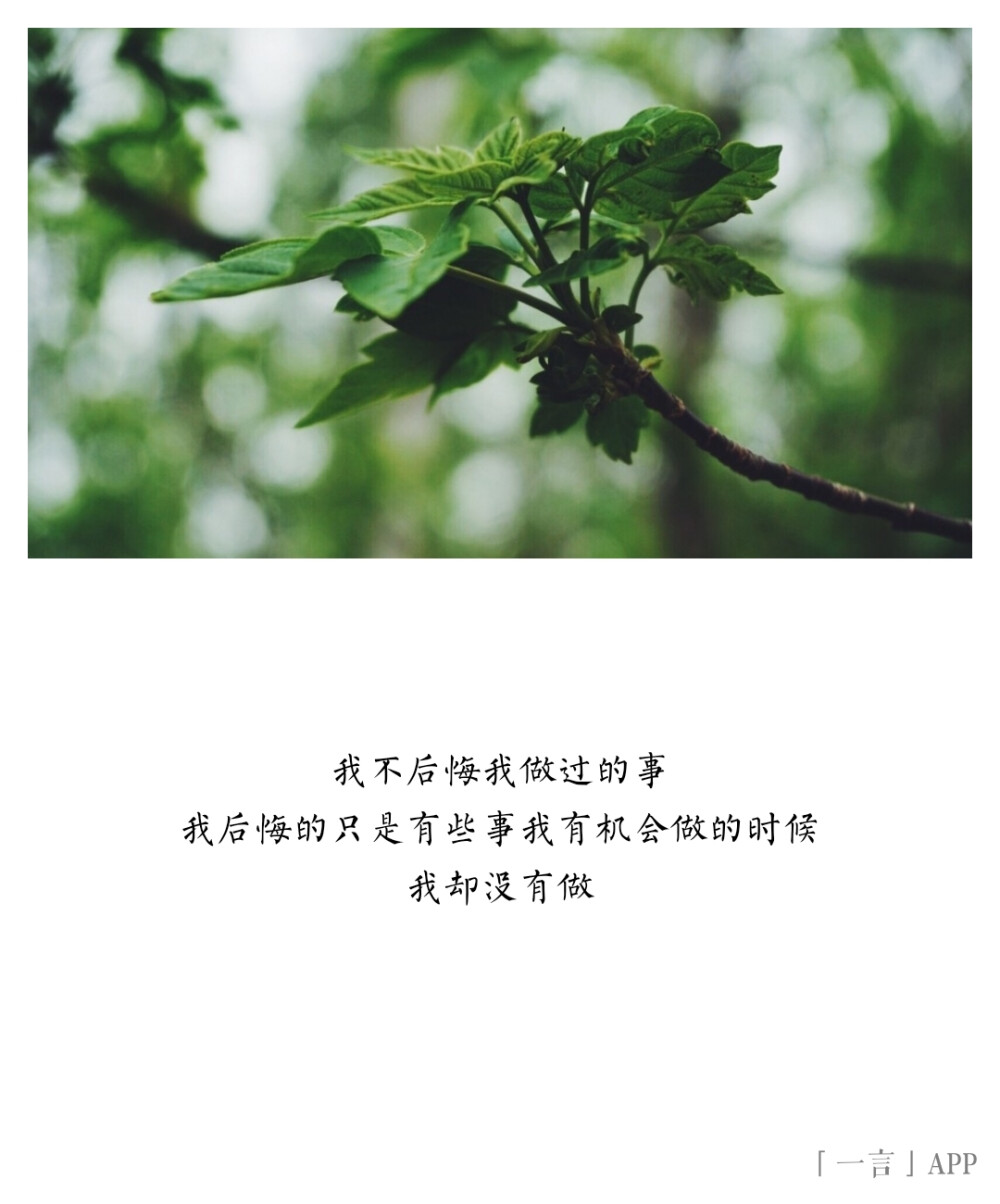 ♚
我不后悔我做过的事
我后悔的只是有些事我有机会做的时候
我却没有做