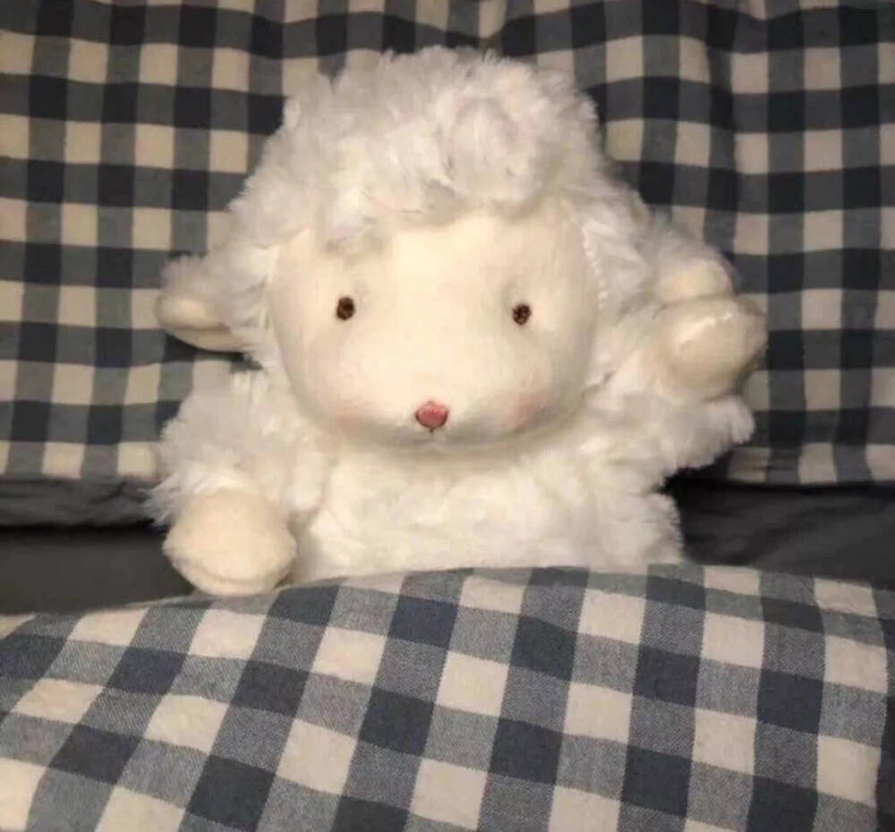 这里葭酱
每晚18:00准时营业 希望你们喜欢呀