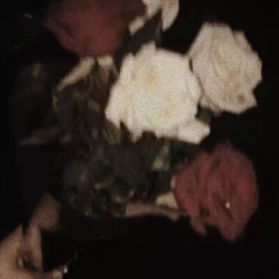 这里葭酱
每晚18:00准时营业 希望你们喜欢呀