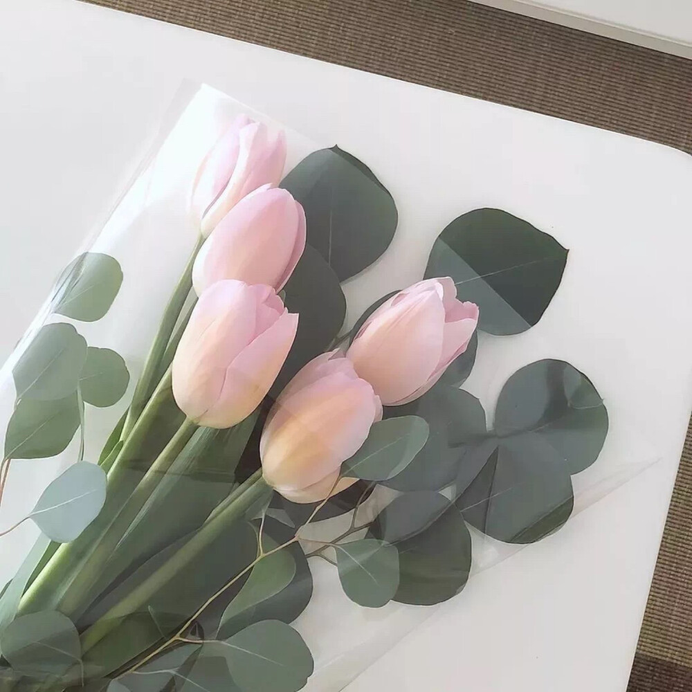 这里葭酱
每晚18:00准时营业 希望你们喜欢呀