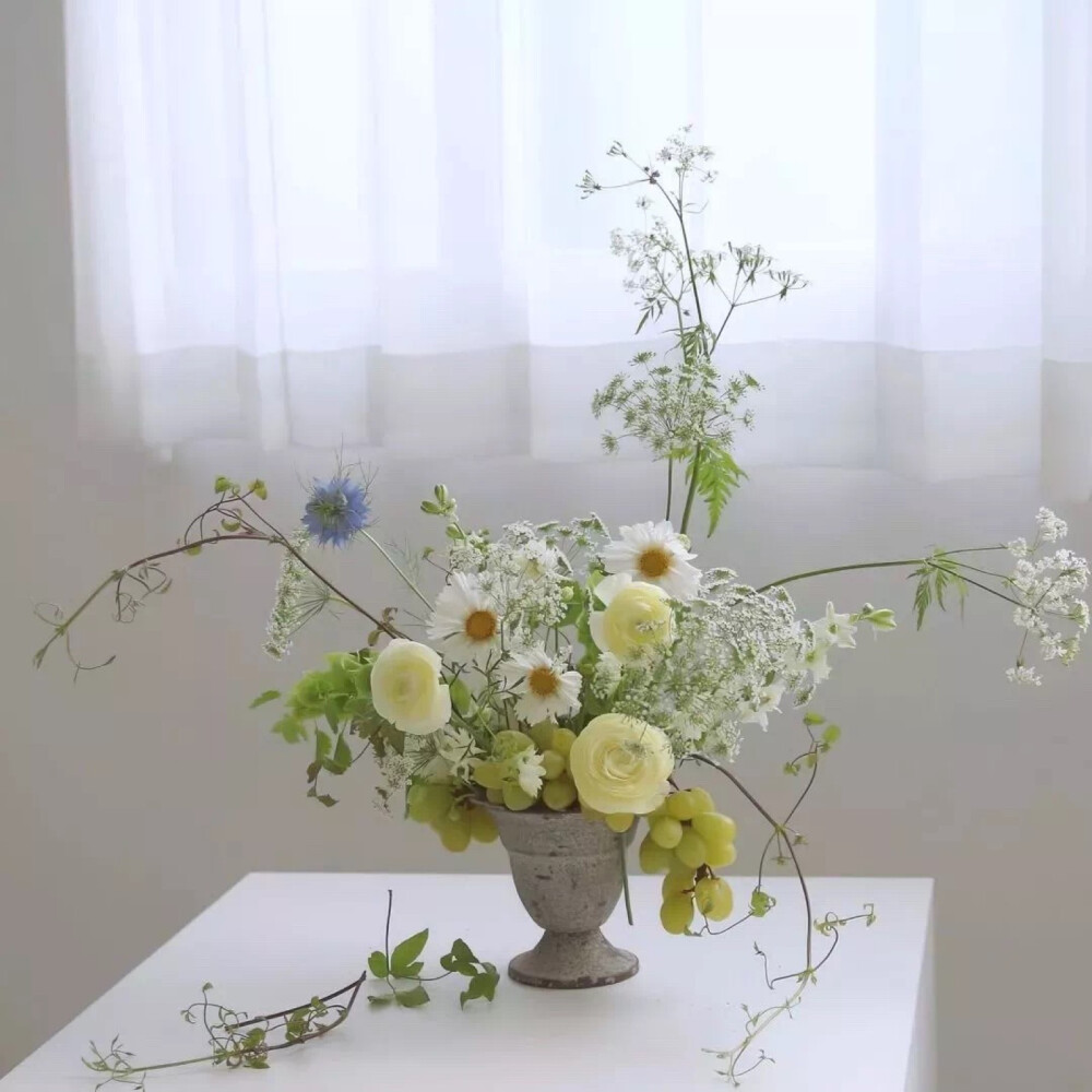 这里葭酱
每晚18:00准时营业 希望你们喜欢呀