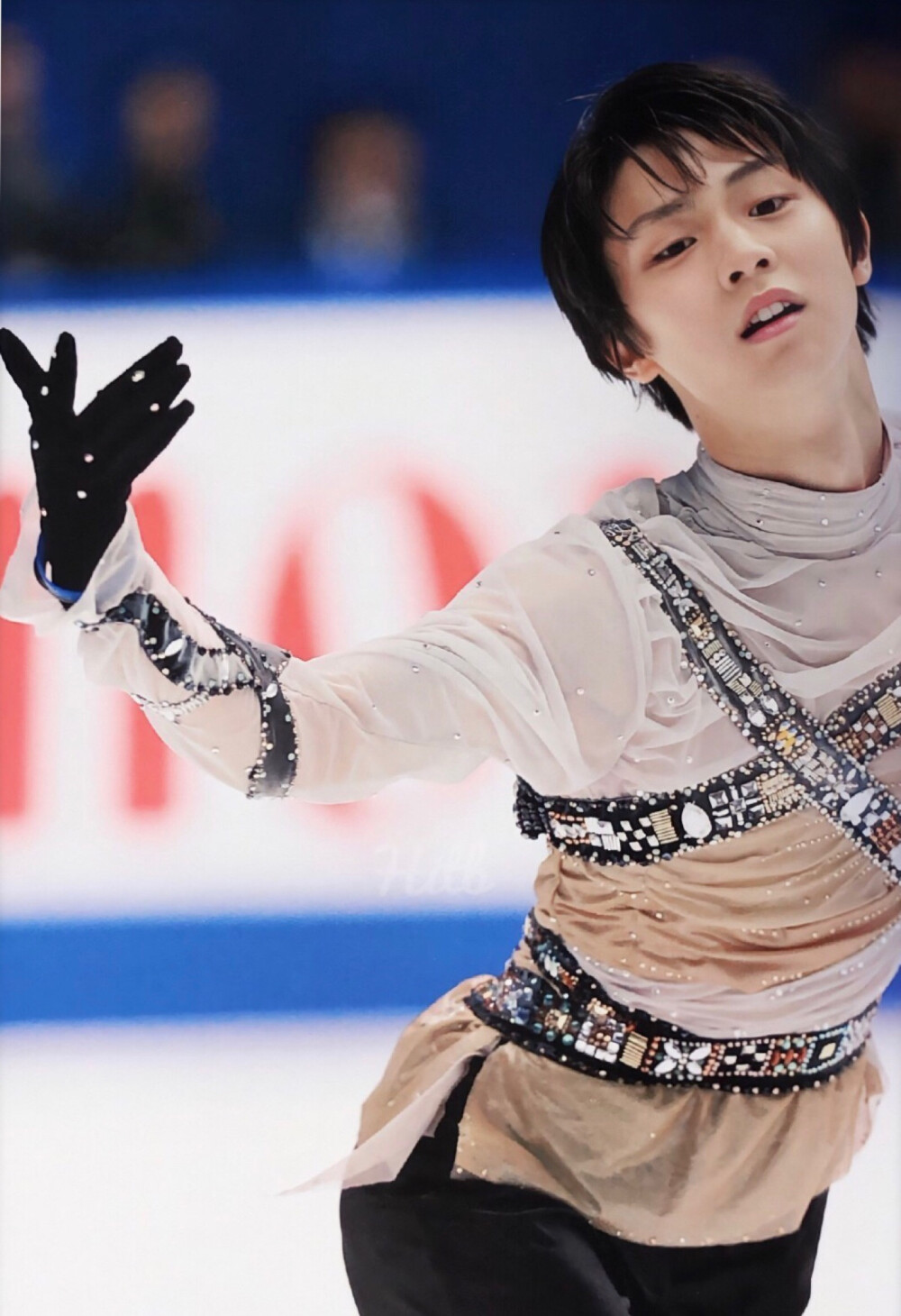 yuzuru