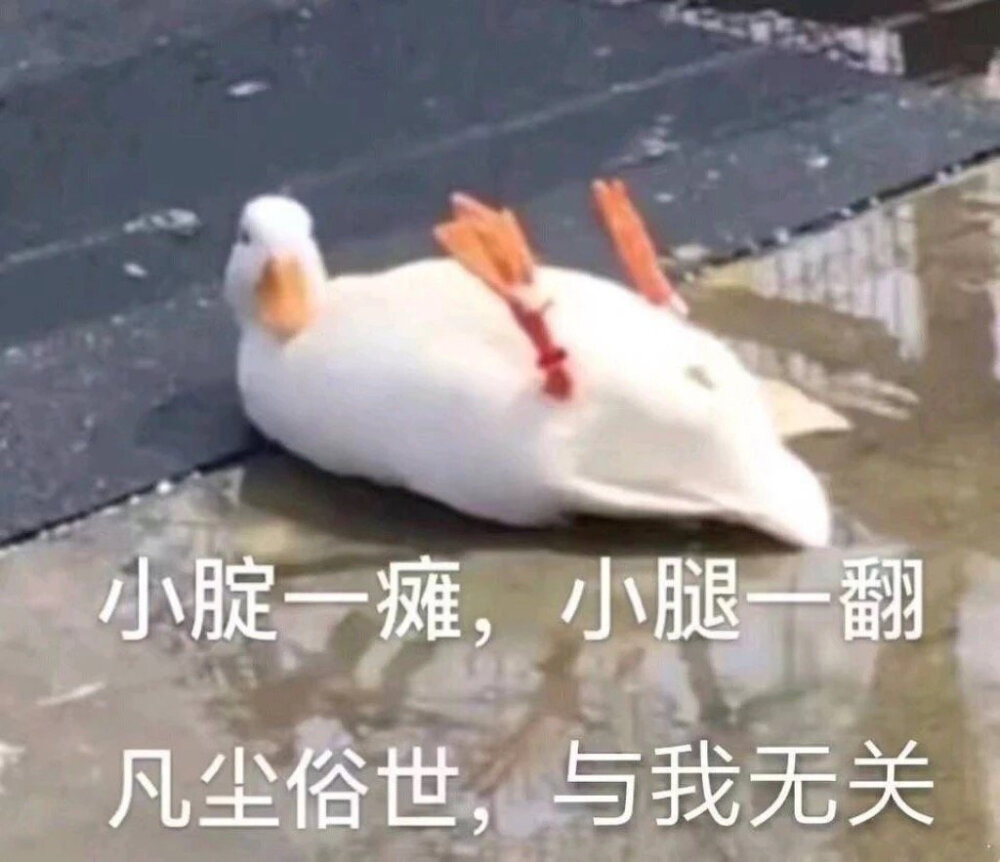 我太难了