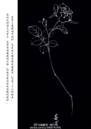 花纹