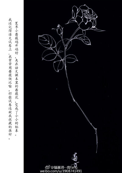 花纹