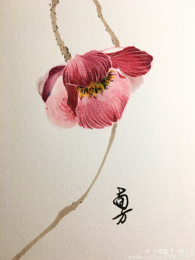 花纹