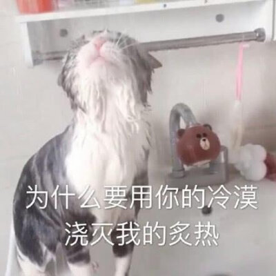 今日份表情包来啦
侵权立删
我太难了
高糊表情包 喵咪 熊猫头 gif 金馆长 斗图 文字系列 厉害了 装逼大神 蛤蛤蛤 魔性 喵咪表情包 文字系列 搞笑 暴走漫画 文字控 表情包 