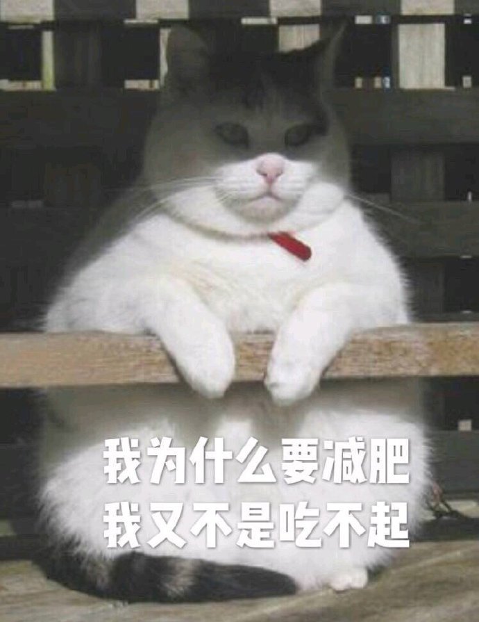 我太难了
今日份表情包来啦
侵权立删
高糊表情包 喵咪 熊猫头 gif 金馆长 斗图 文字系列 厉害了 装逼大神 蛤蛤蛤 魔性 喵咪表情包 文字系列 搞笑 暴走漫画 文字控 表情包 