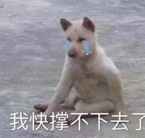 今日份表情包来啦
侵权立删
高糊表情包 喵咪 熊猫头 gif 金馆长 斗图 文字系列 厉害了 装逼大神 蛤蛤蛤 魔性 喵咪表情包 文字系列 搞笑 暴走漫画 文字控 表情包 