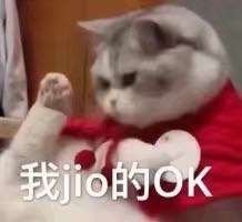 今日份表情包来啦
我太难了
侵权立删
高糊表情包 喵咪 熊猫头 gif 金馆长 斗图 文字系列 厉害了 装逼大神 蛤蛤蛤 魔性 喵咪表情包 文字系列 搞笑 暴走漫画 文字控 表情包 