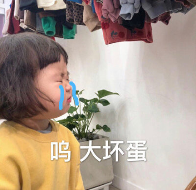 今日份表情包来啦
我太难了
侵权立删
高糊表情包 喵咪 熊猫头 gif 金馆长 斗图 文字系列 厉害了 装逼大神 蛤蛤蛤 魔性 喵咪表情包 文字系列 搞笑 暴走漫画 文字控 表情包 