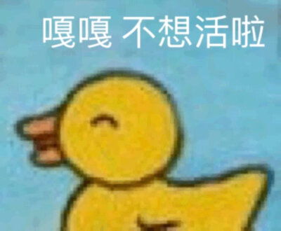 今日份表情包来啦
生死看淡
侵权立删
高糊表情包 喵咪 熊猫头 gif 金馆长 斗图 文字系列 厉害了 装逼大神 蛤蛤蛤 魔性 喵咪表情包 文字系列 搞笑 暴走漫画 文字控 表情包 