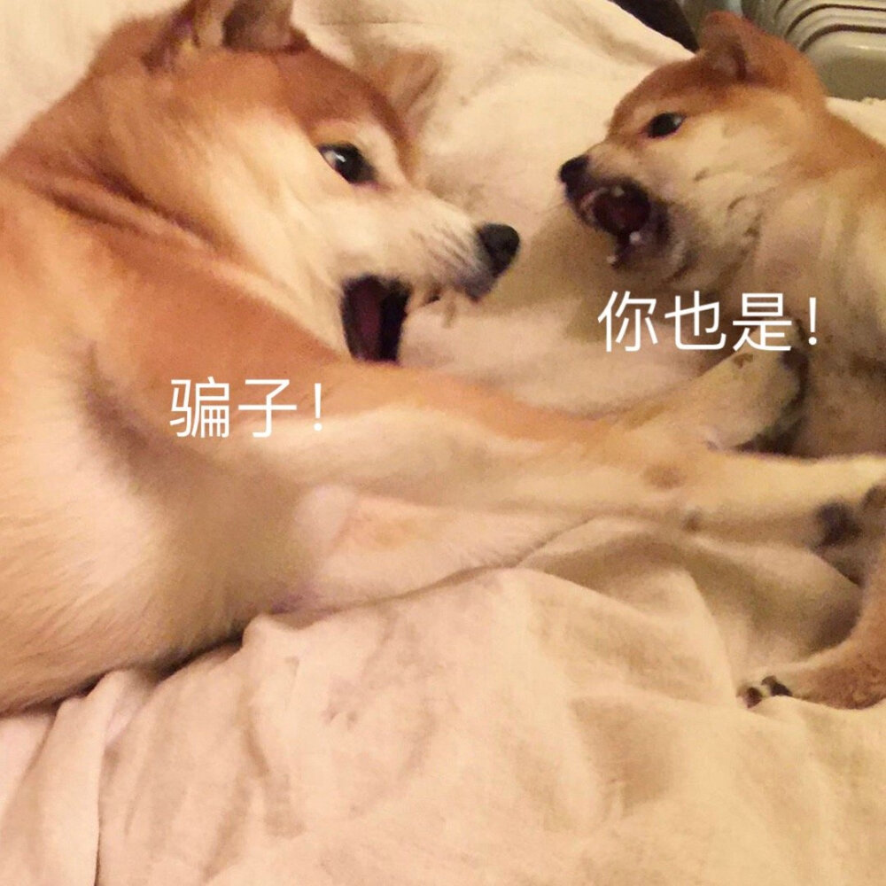 今日份表情包来啦
侵权立删
高糊表情包 喵咪 熊猫头 gif 金馆长 斗图 文字系列 厉害了 装逼大神 蛤蛤蛤 魔性 喵咪表情包 文字系列 搞笑 暴走漫画 文字控 表情包 