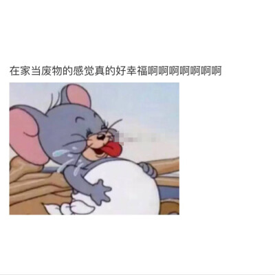 壁纸