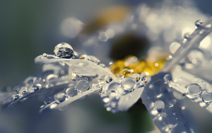 雨