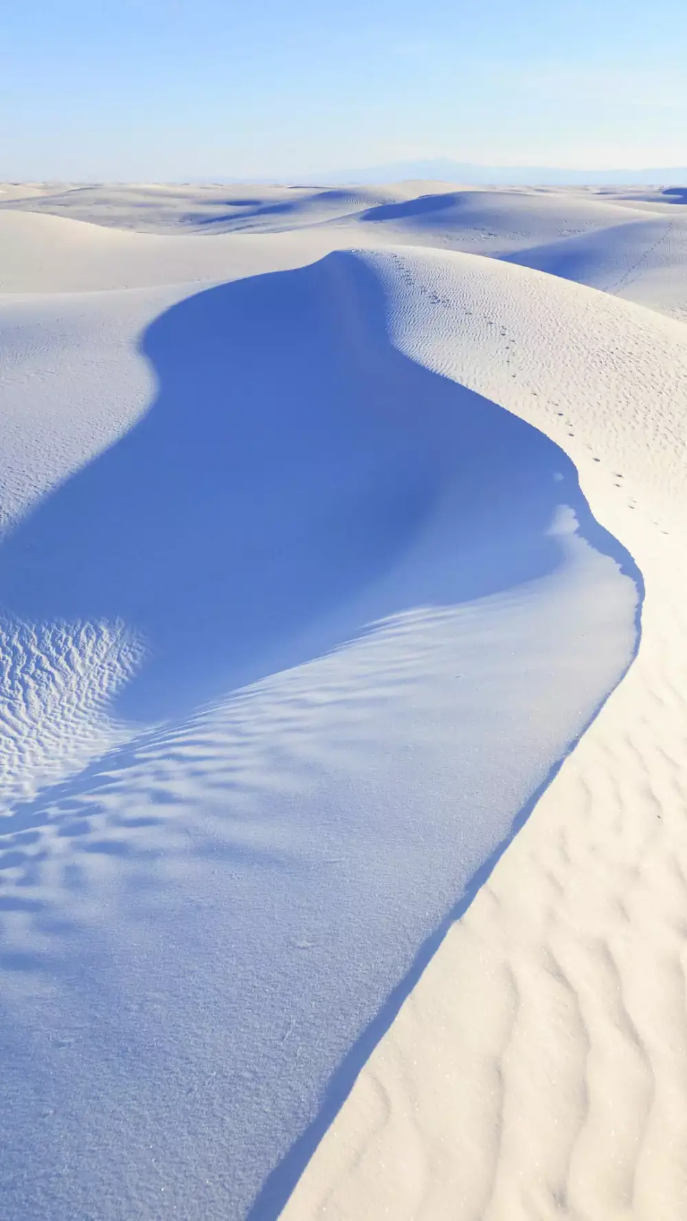 雪地