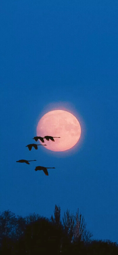  ■ 银河便利店在贩卖星球