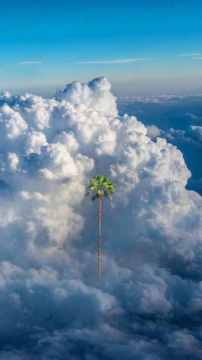 太喜欢蓝天白云了☁️