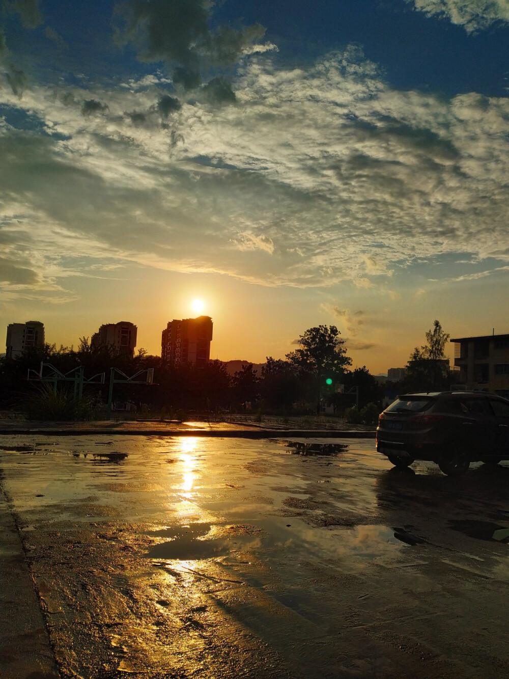 几场雨 一个夏天