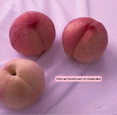 关注拿图不迷路