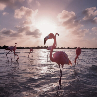 关注拿图不迷路