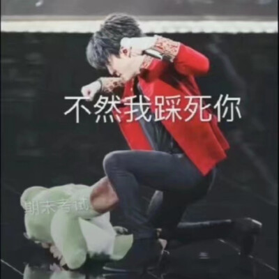 和洛天依的演唱会