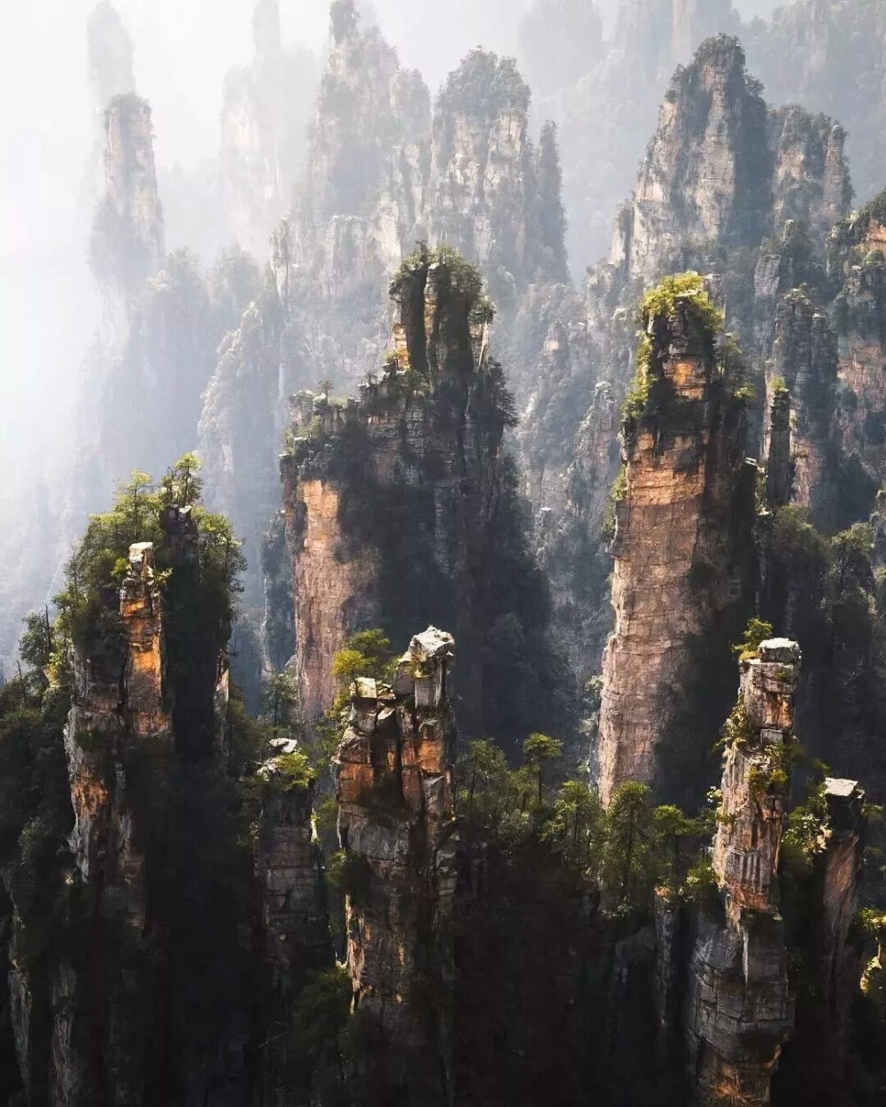 Jordan Hammond作品——张家界