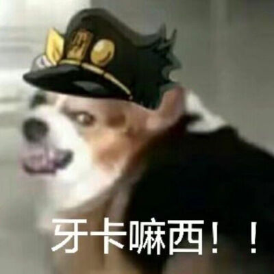 JOJO表情包