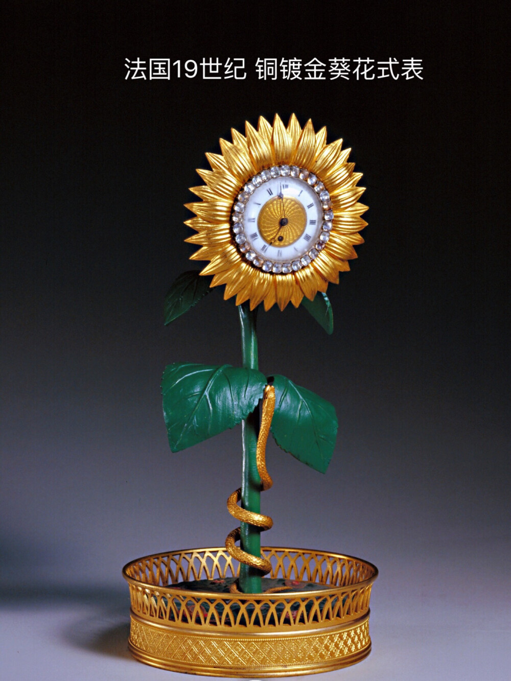 关注2019年9月5日 0:27苍白的浅影