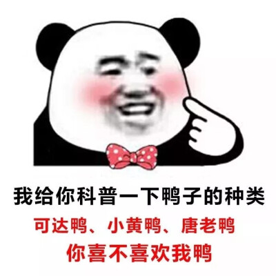 各种可爱 搞怪 委屈 个性 表情包